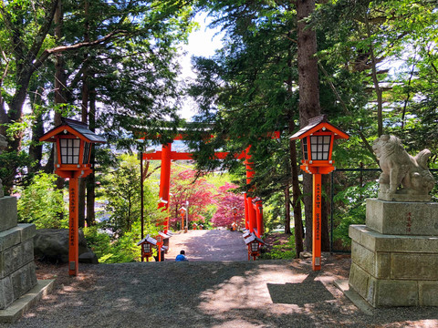 富士新仓山浅间公园千鸟居