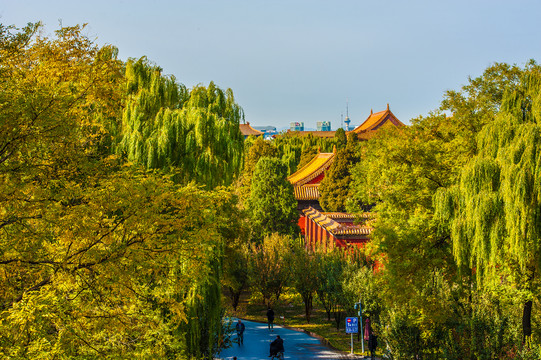 北京故宫园林风景