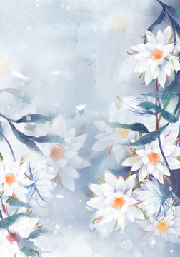 曇花