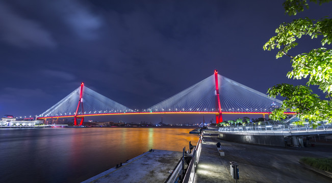 杨浦大桥夜景