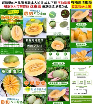 哈密瓜詳情