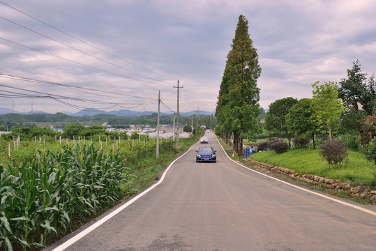 美丽乡村乡村道路