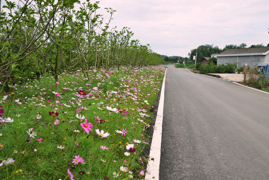 美丽乡村公路