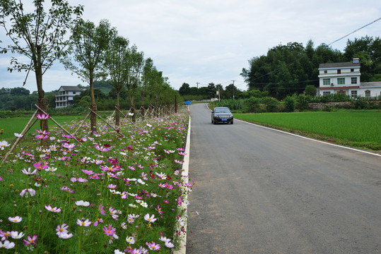 美丽乡村公路