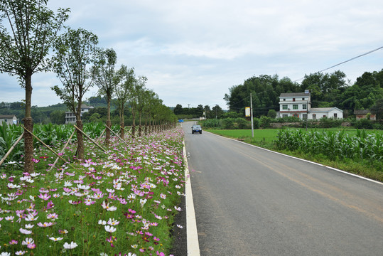 乡村道路