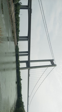 泰州大桥