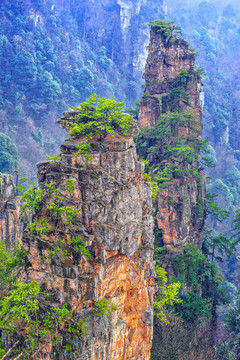 天子山石峰