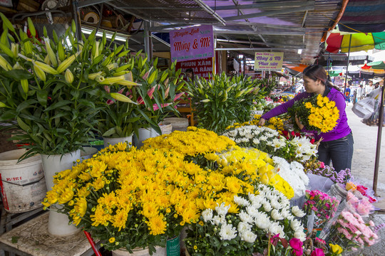 越南芒街花市