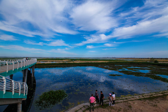 湿地