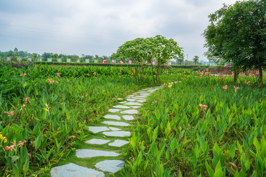 乡村石板小路