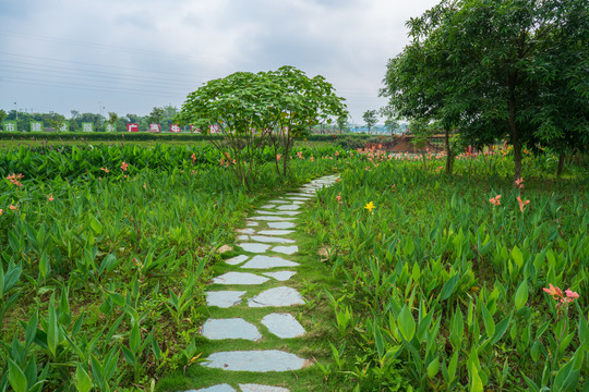 乡村石板小路