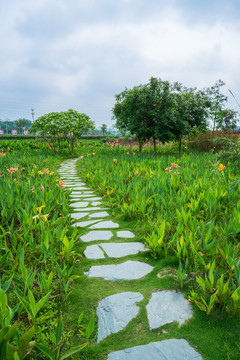 乡村石板小路