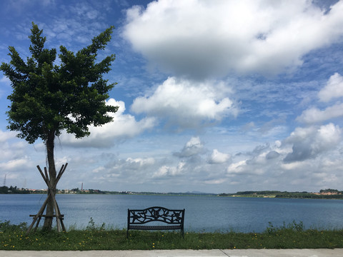 休闲的夏日风景