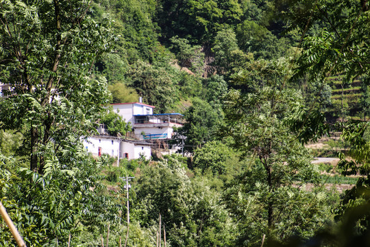 山村房屋