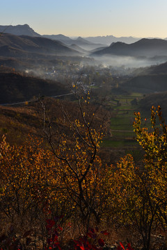 山景