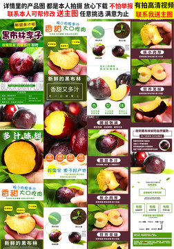 黑布林李子詳情