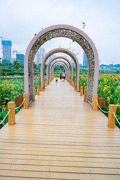 那考河湿地公园美人蕉栈道拱门