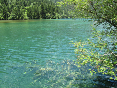 宁静湖面