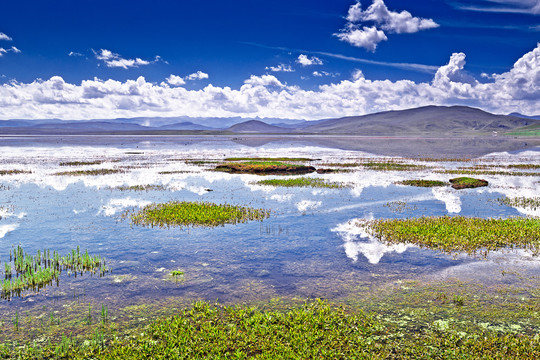 尕海湖风光