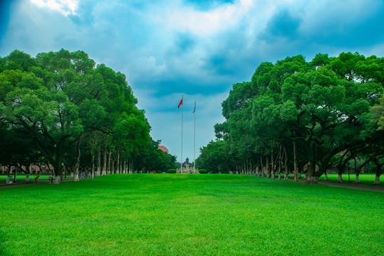 中山大学草坪