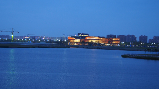 上海之鱼夜景