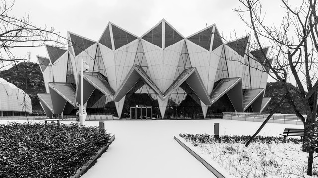 安顺奥体中心雪景