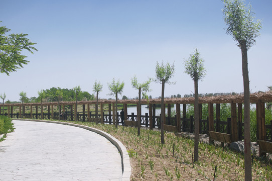 鸣翠湖湿地公园