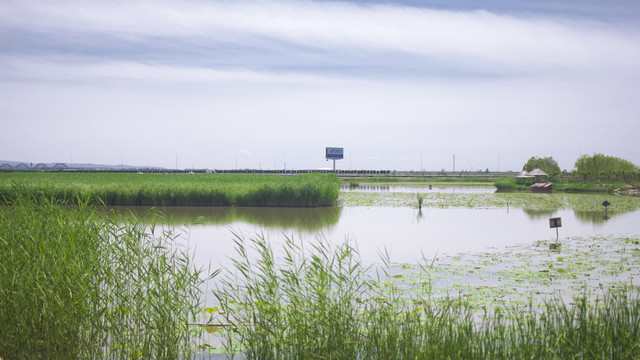 民翠湖湿地公园