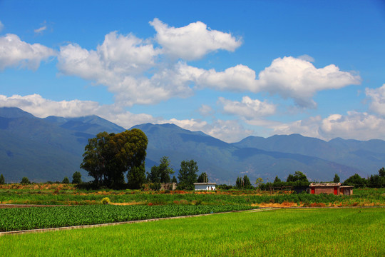 美丽乡村