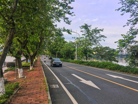 道路绿化交通标志