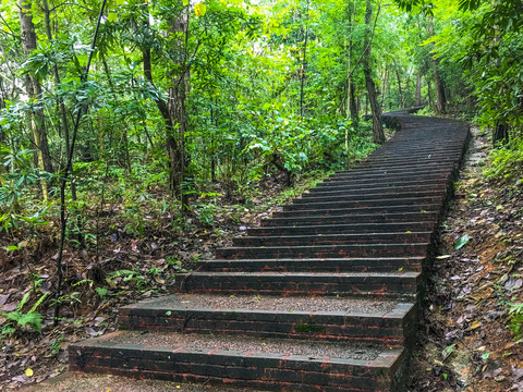 森林公园登山道