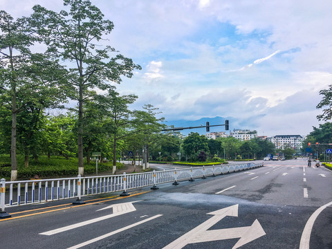 道路绿化交通标志