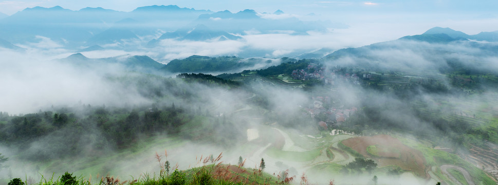 茗岙云雾