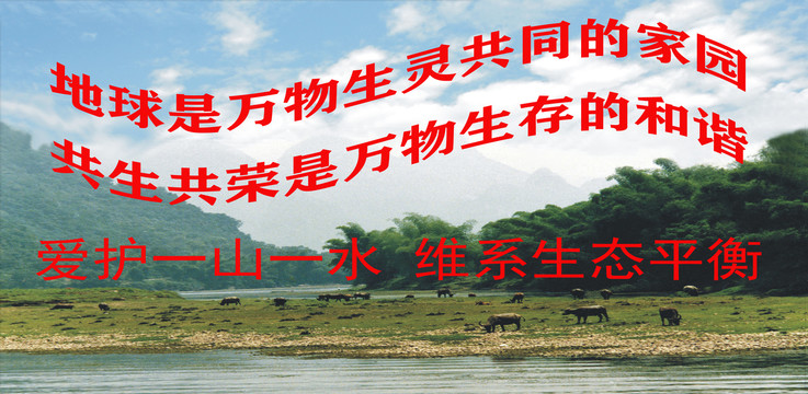 環(huán)保宣傳排版