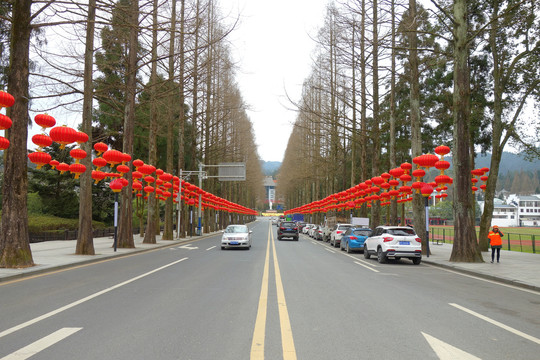 井冈山茨坪中心大道