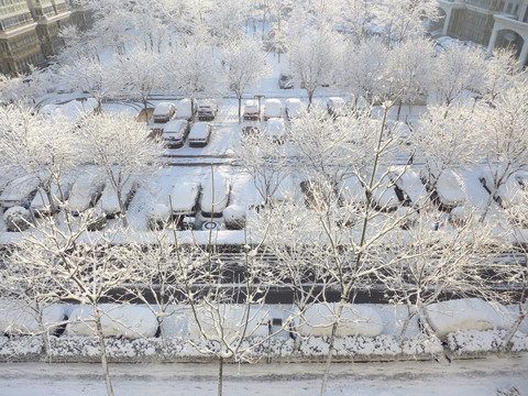 雪景