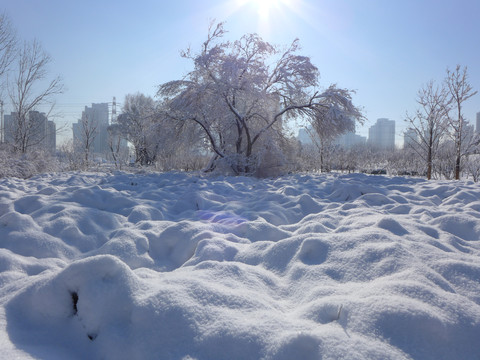 雪景