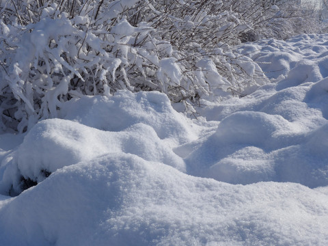 雪景