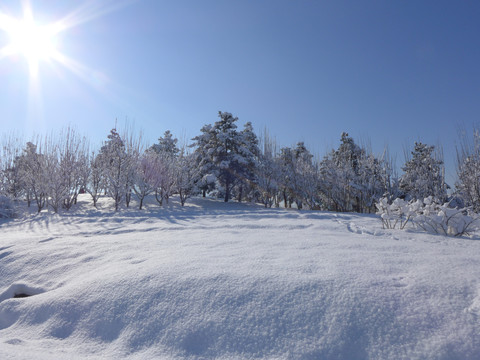 雪景