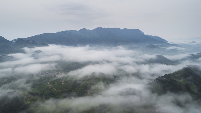 莲花山