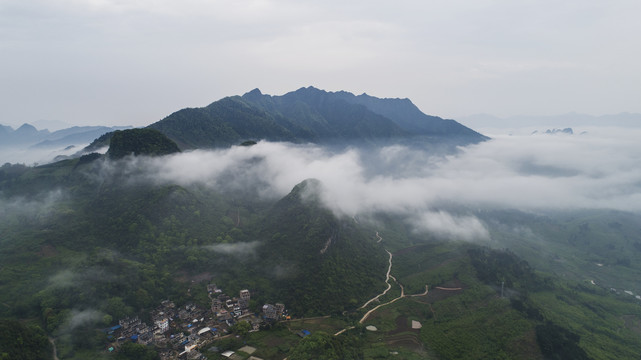 莲花山