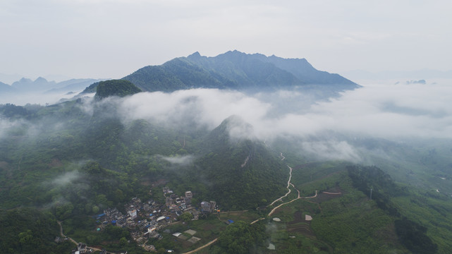 莲花山