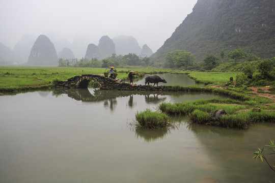 烟雨桂北农家忙6