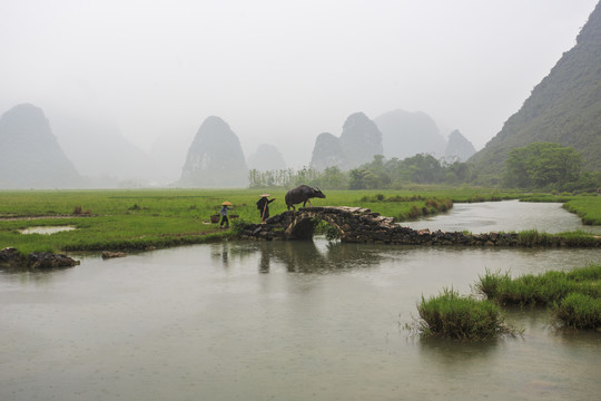 烟雨桂北农家忙11