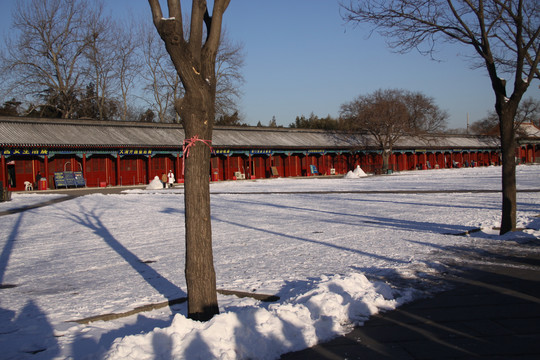 紫禁城雪景
