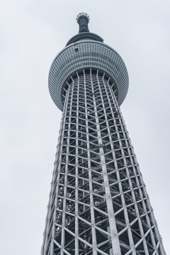 日本东京晴空塔skytree