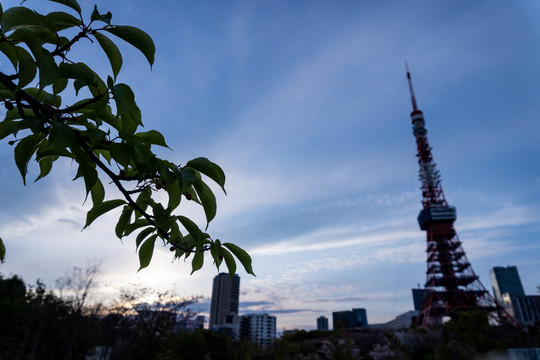 日本东京铁塔