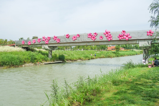 成都湿地公园