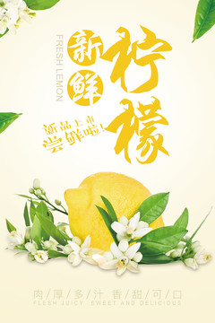 檸檬海報(bào)