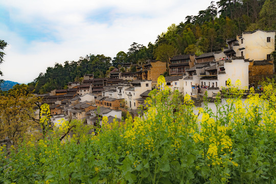 婺源篁岭